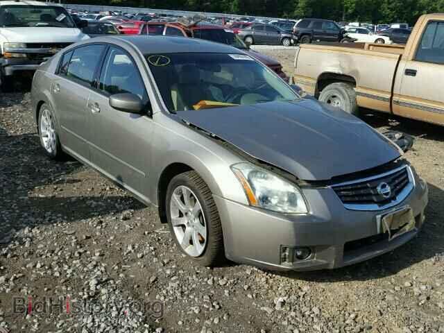 Photo 1N4BA41E48C833968 - NISSAN MAXIMA 2008
