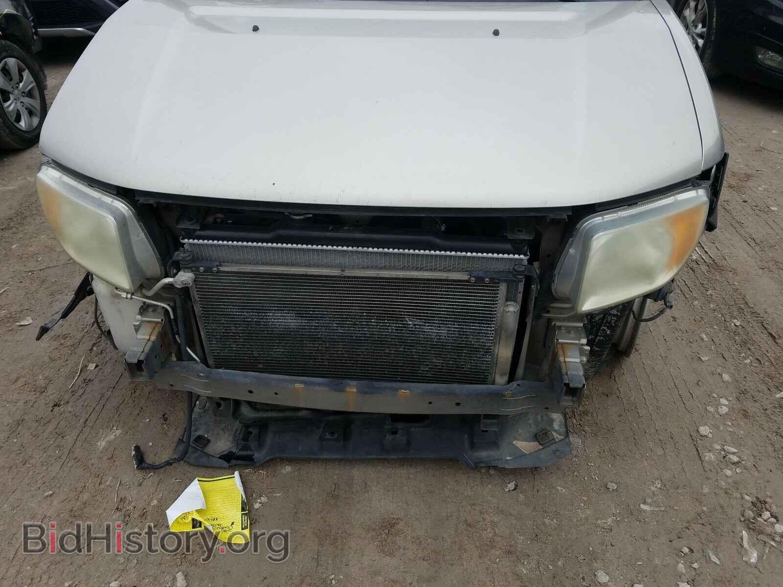 2003 HONDA ELEMENT - VIN: 5J6YH18523L004436 - Фото 9