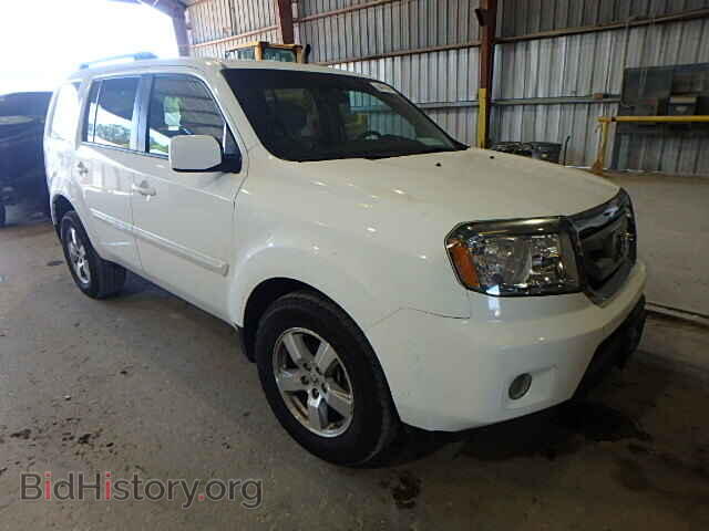 Фотография 5FNYF3H46BB025208 - HONDA PILOT 2011