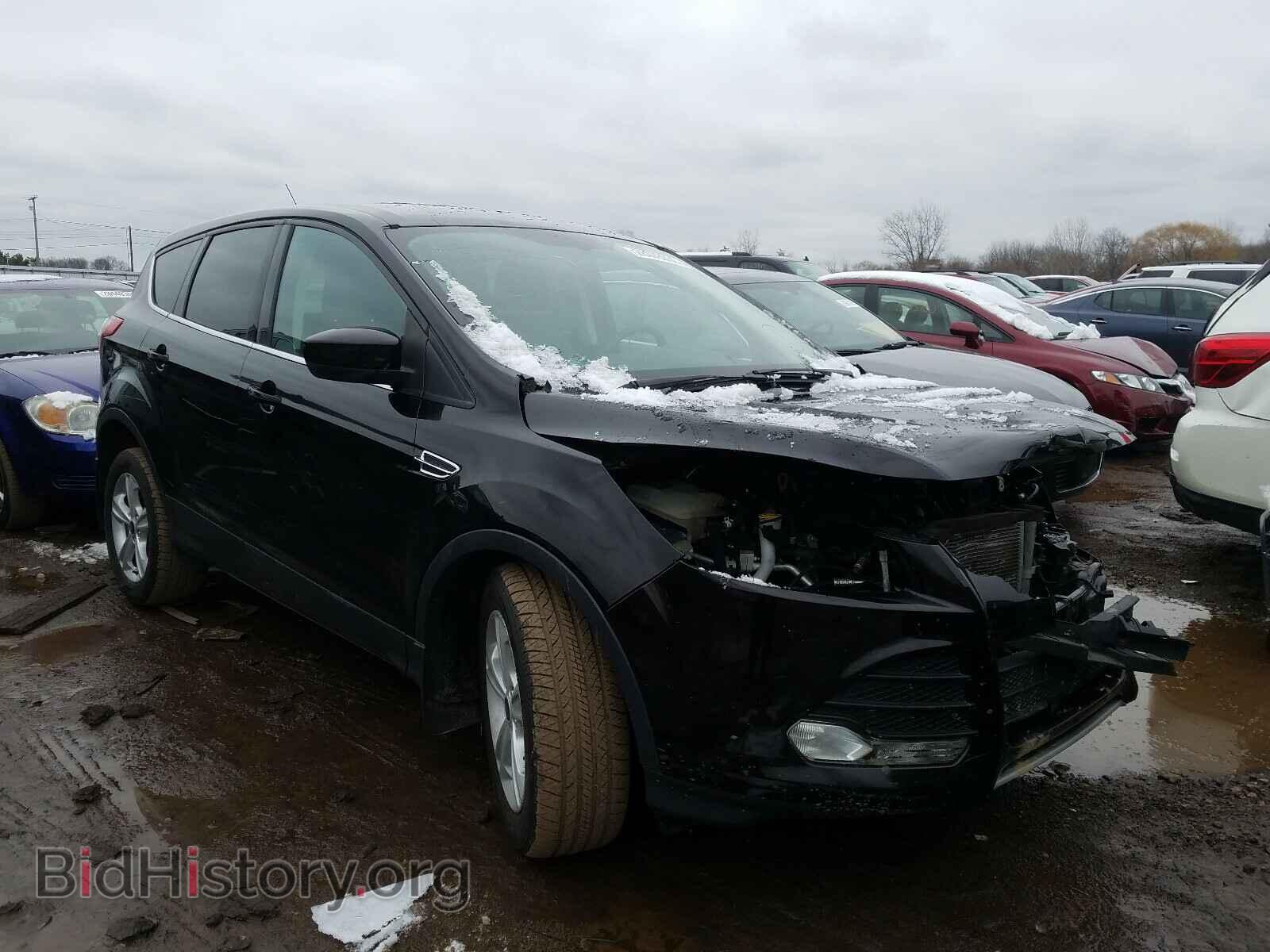 Фотография 1FMCU0GX5DUB52371 - FORD ESCAPE 2013