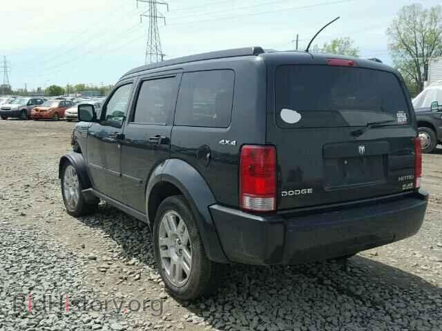 2010 DODGE NITRO - VIN: 1D4PU2GK9AW143035 - Фото 3