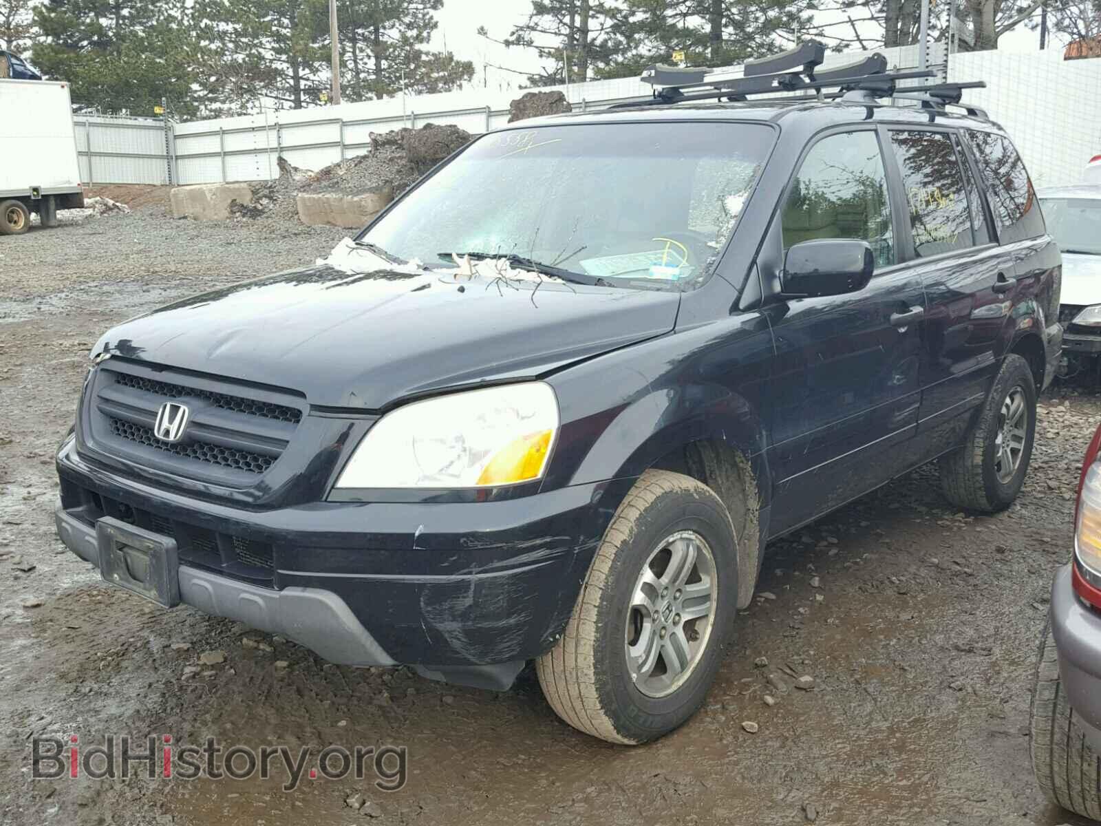2005 HONDA PILOT - VIN: 5FNYF18565B007115 - Фото 2