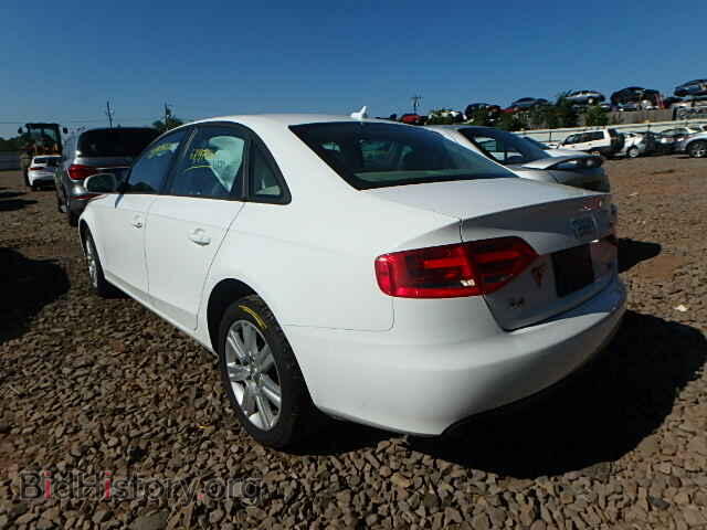 2011 AUDI A4 - VIN: WAUBFAFL5BN007804 - Фото 3