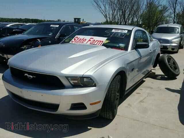 2012 FORD MUSTANG - VIN: 1ZVBP8AM2C5238005 - Фото 2