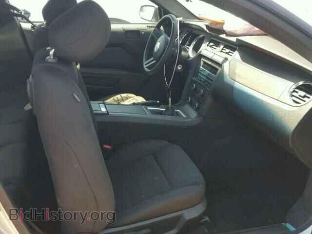 2012 FORD MUSTANG - VIN: 1ZVBP8AM2C5238005 - Фото 5