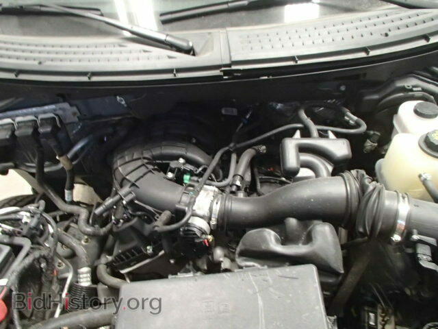 2013 FORD F150 - VIN: 1FTEX1EM4DFD44811 - Фото 7
