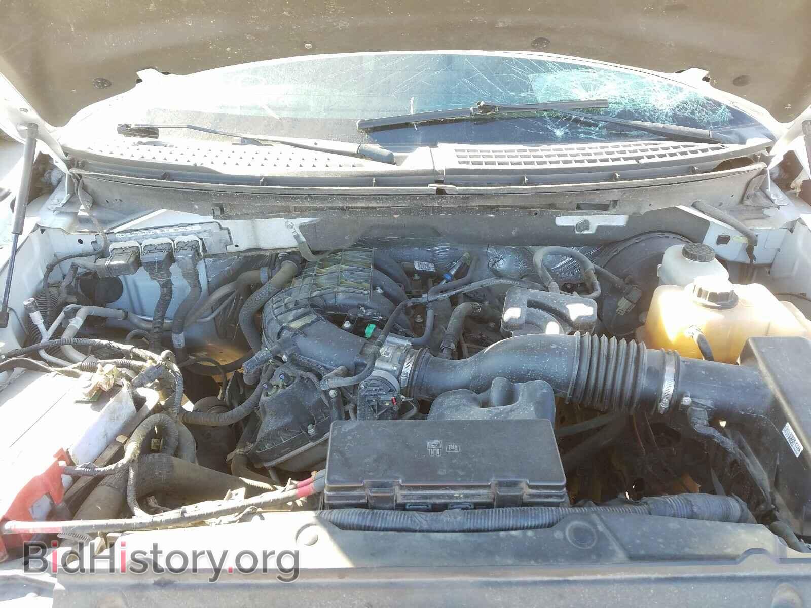 2013 FORD F150 - VIN: 1FTEW1CM2DKF70892 - Фото 7