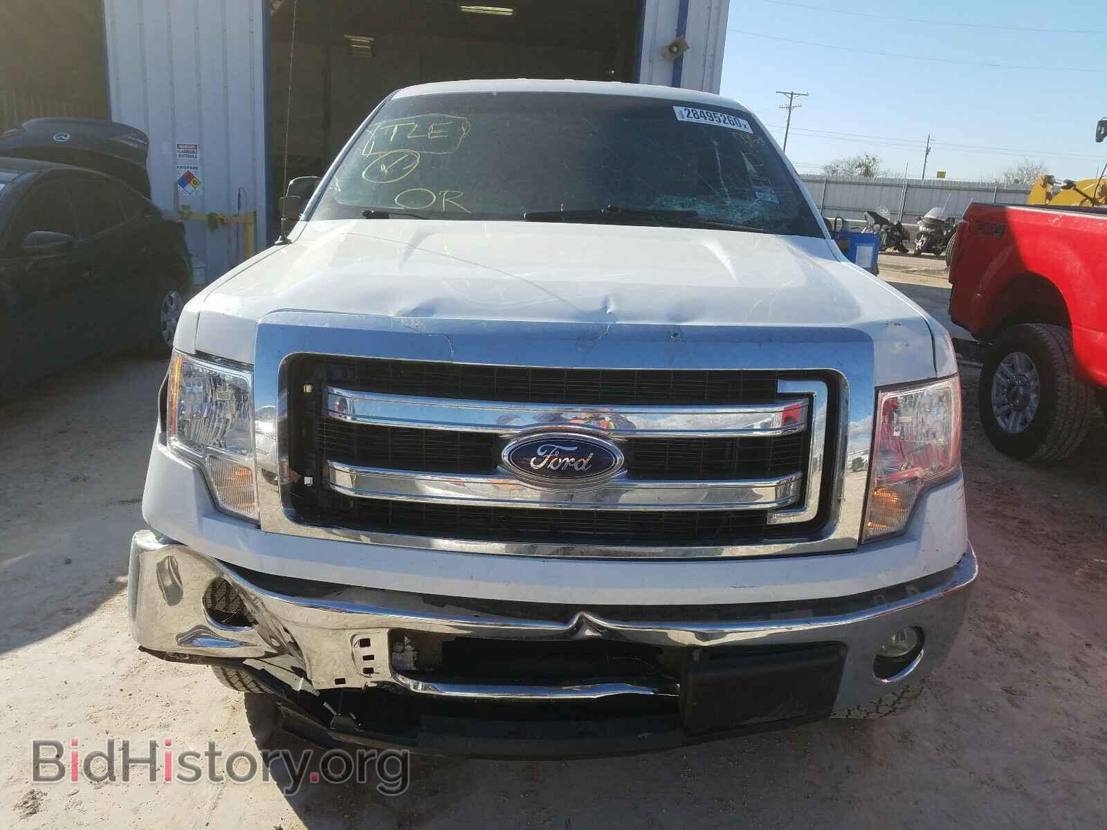2013 FORD F150 - VIN: 1FTEW1CM2DKF70892 - Фото 9