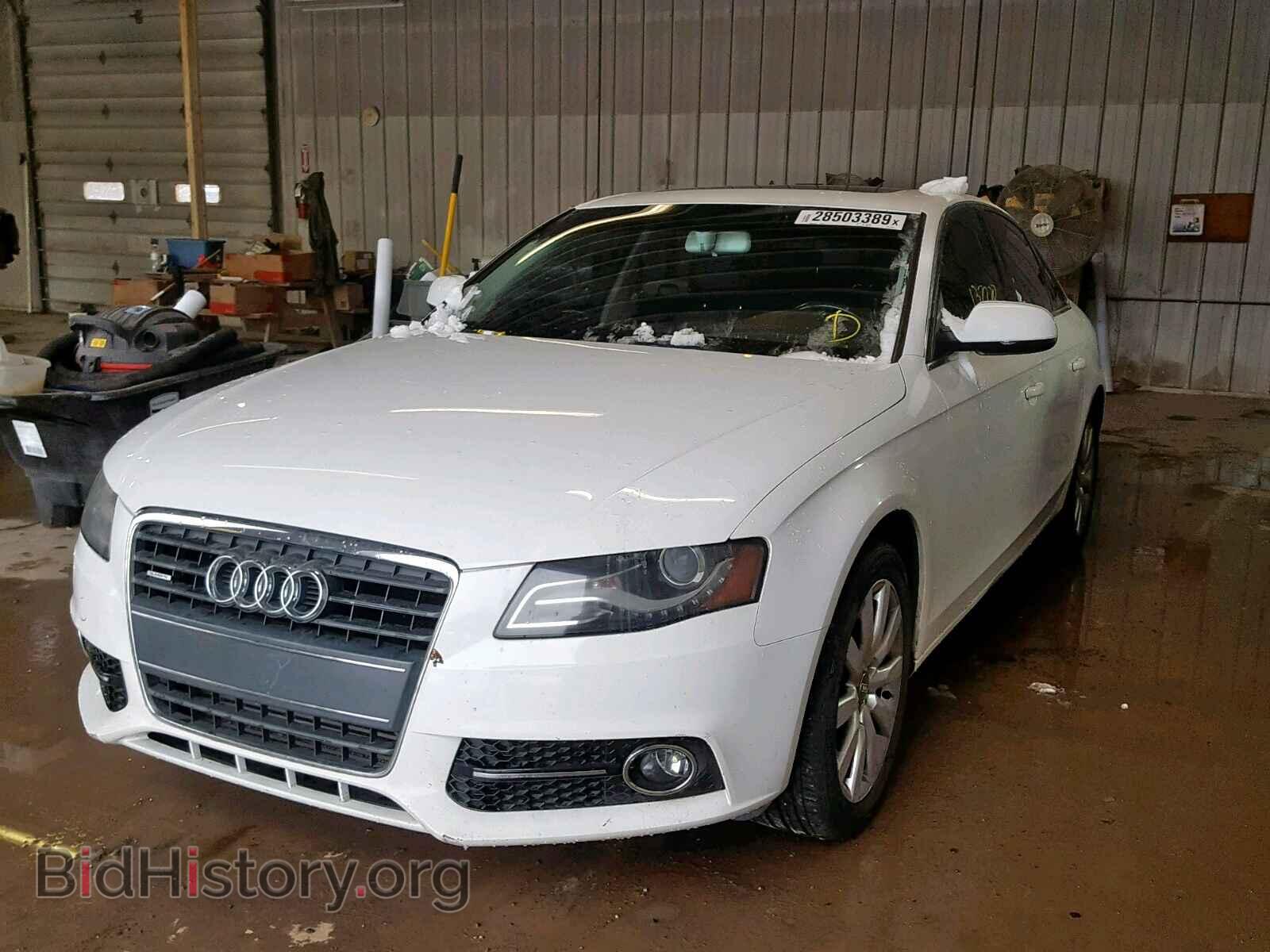 2010 AUDI A4 - VIN: WAUFFAFL1AN038757 - Фото 2