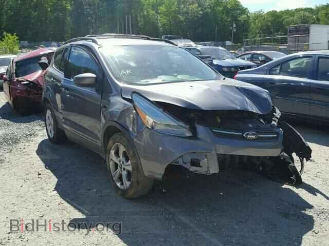 Фотография 1FMCU0GX5DUD65014 - FORD ESCAPE 2013