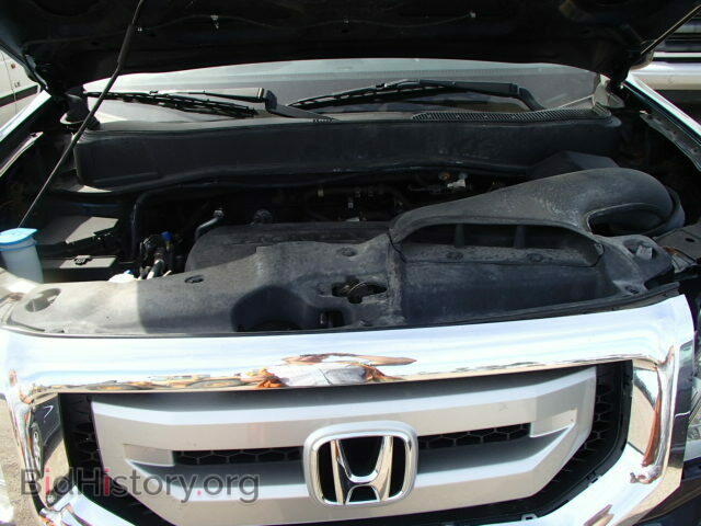 2009 HONDA PILOT - VIN: 5FNYF48979B021535 - Фото 7