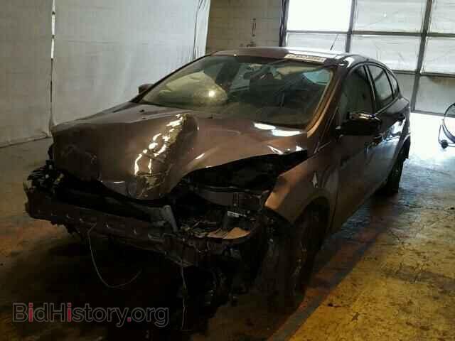 2013 FORD FOCUS - VIN: 1FADP3K24DL324236 - Фото 2
