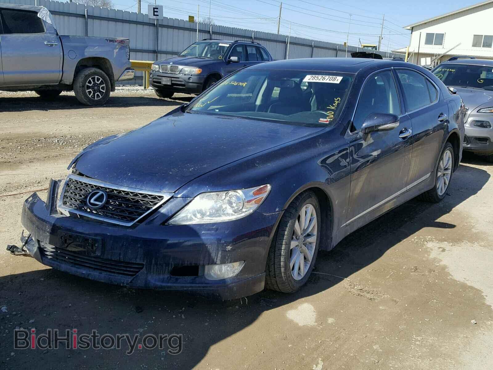 2010 LEXUS LS460 - VIN: JTHCL5EF6A5005995 - Фото 2