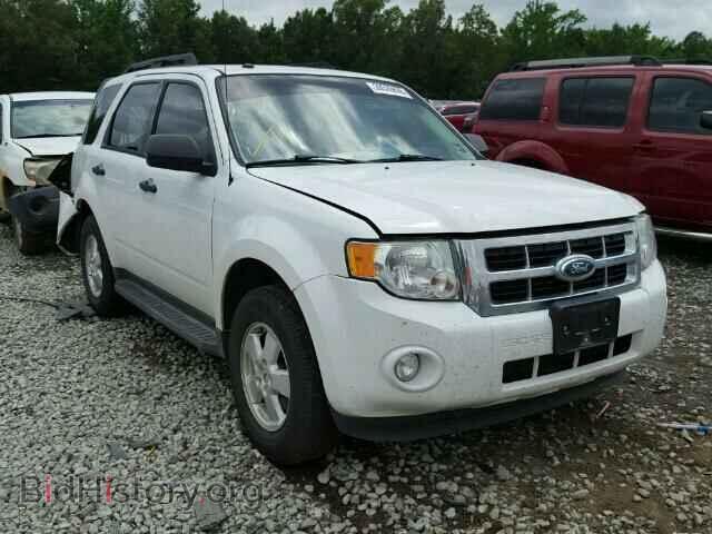 Photo 1FMCU0DGXBKB79983 - FORD ESCAPE 2011