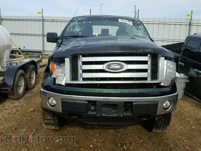 2012 FORD F150 - VIN: 1FTFX1EFXCFB60185 - Фото 9