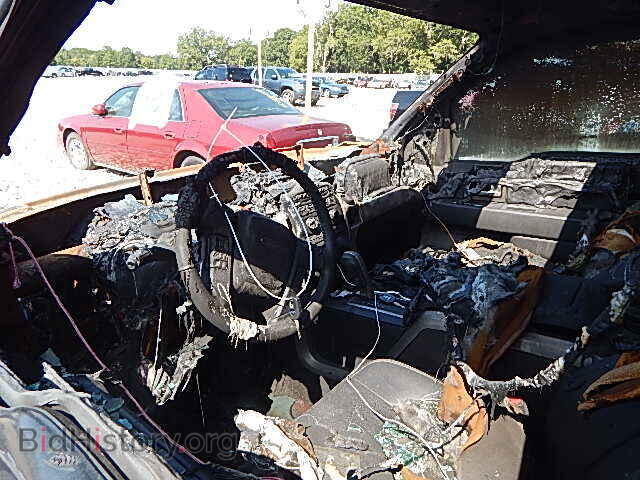 2012 FORD F150 - VIN: 1FTFW1EF4CFA75622 - Фото 5