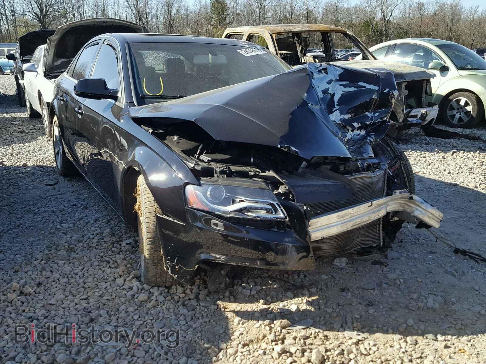 Фотография WAUDFAFL3CN000280 - AUDI A4 2012