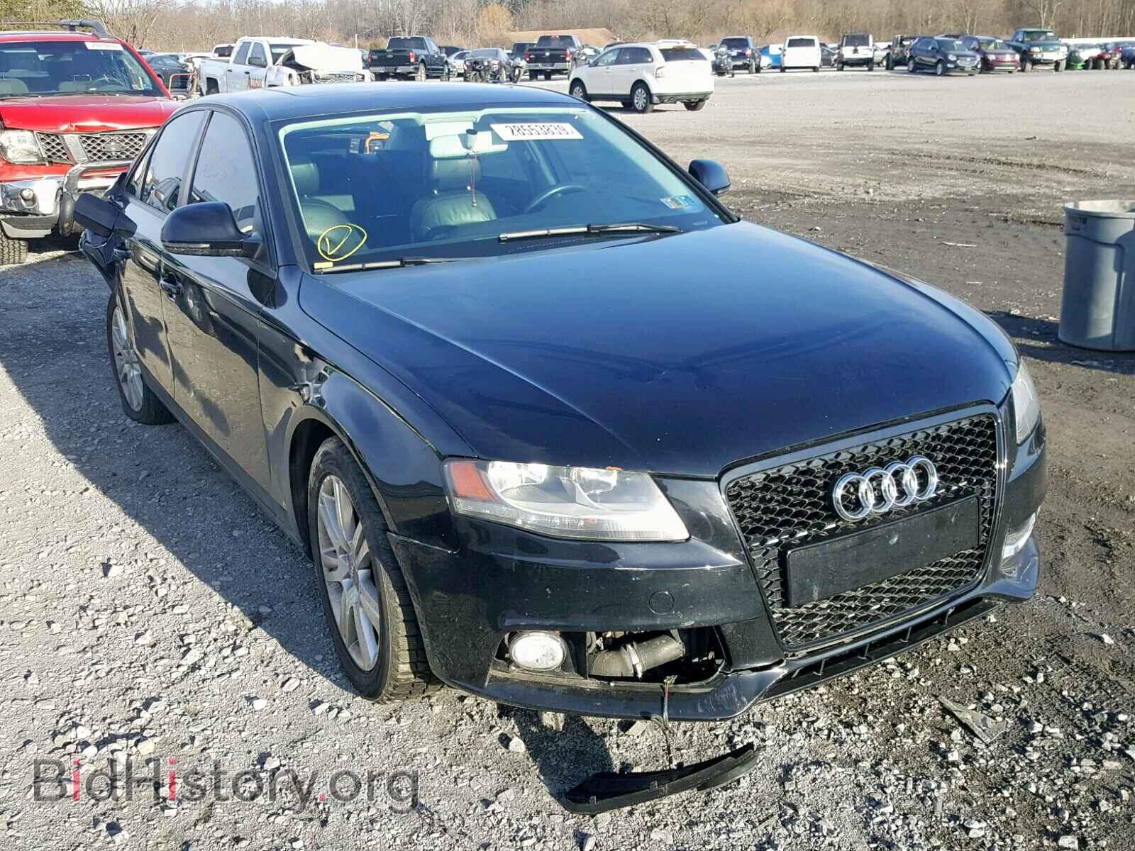 Фотография WAULF78K59N063599 - AUDI A4 2009