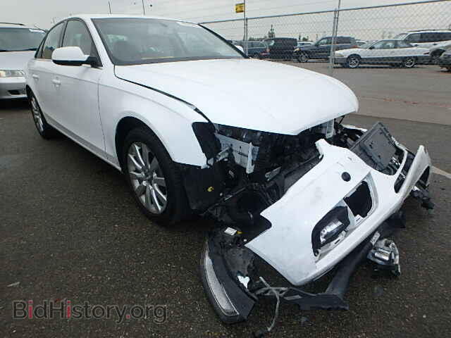 Фотография WAUAFAFL1DN020628 - AUDI A4 2013