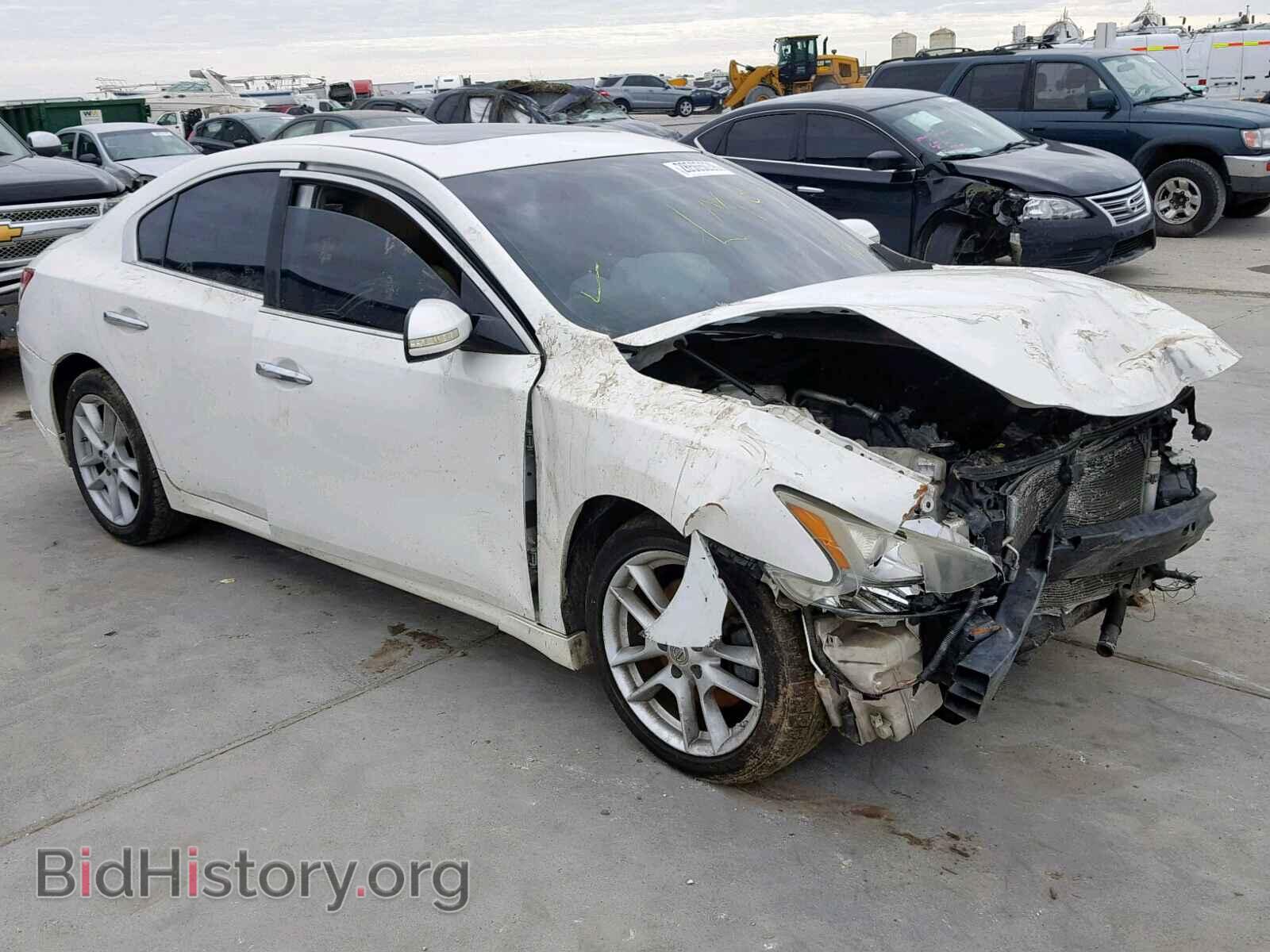 Фотография  - NISSAN MAXIMA S 2009