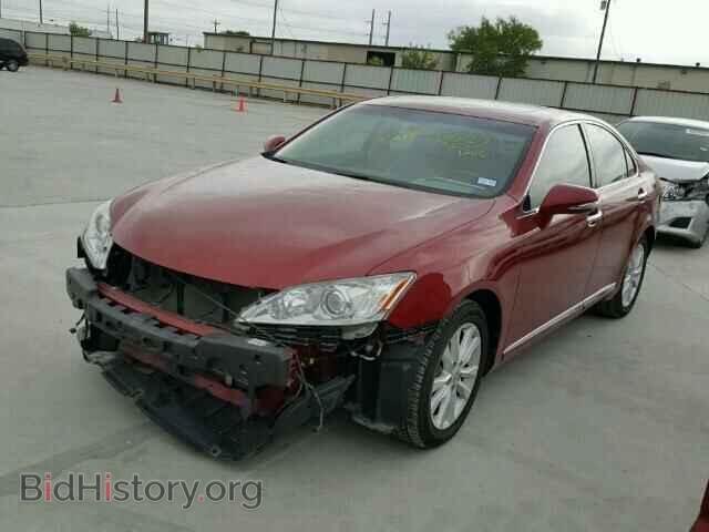 2010 LEXUS ES350 - VIN: JTHBK1EG6A2362384 - Фото 2
