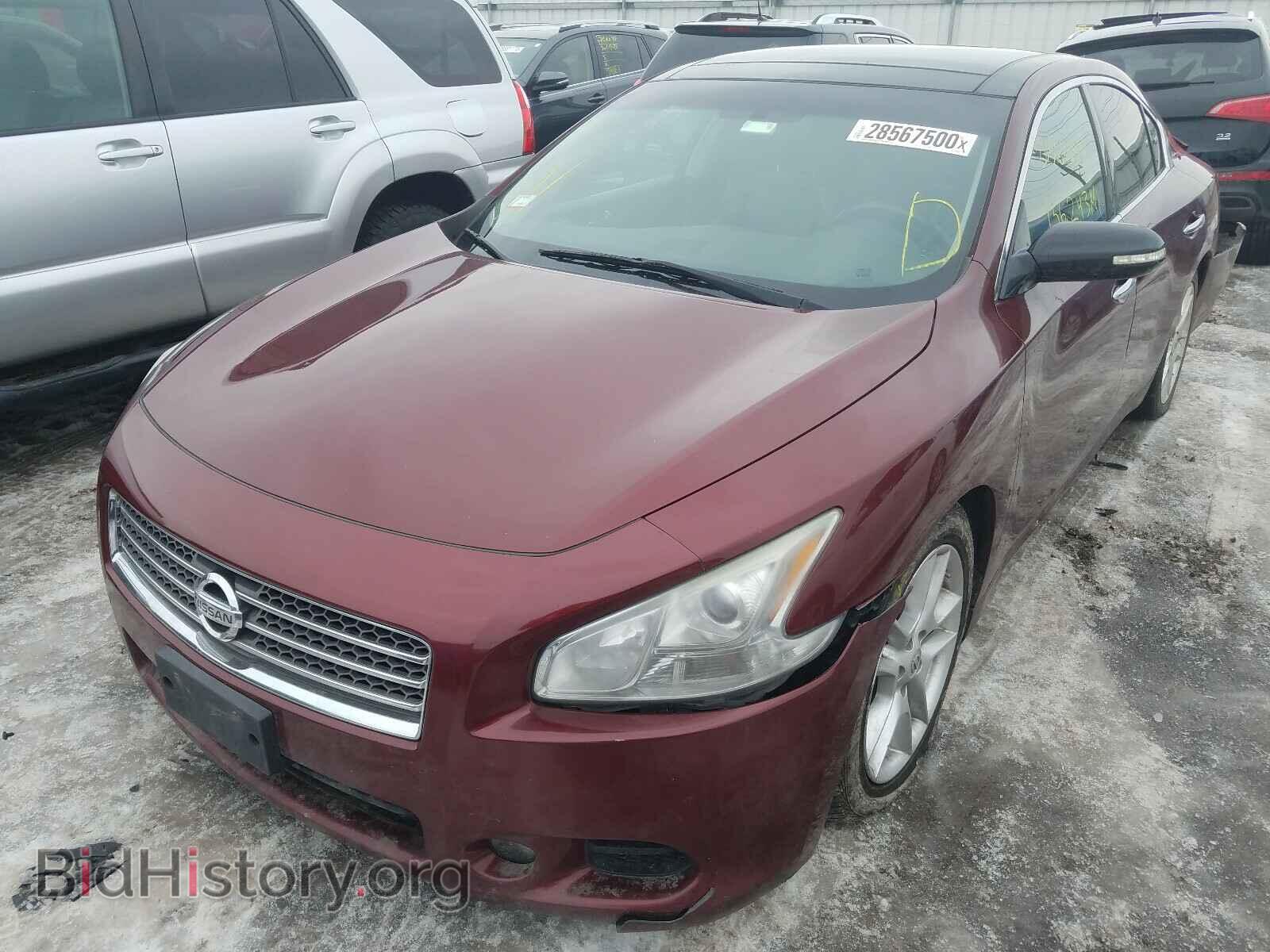 2010 NISSAN MAXIMA - VIN: 1N4AA5AP3AC865495 - Фото 2