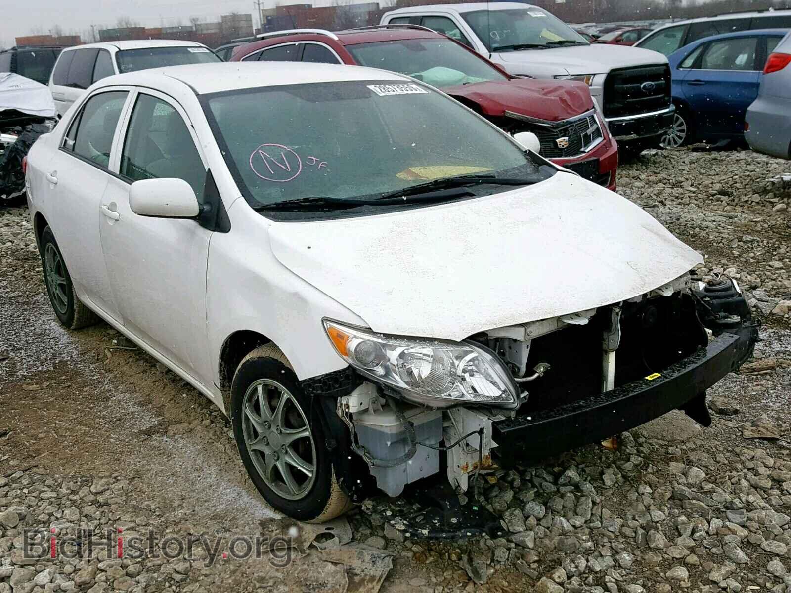 Photo  - TOYOTA COROLLA BA 2009