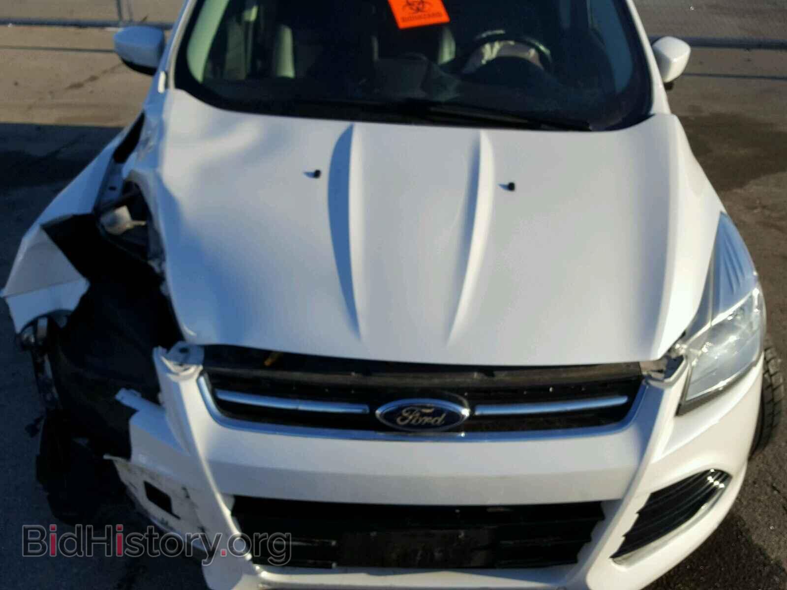 2013 FORD ESCAPE - VIN: 1FMCU0H99DUB93019 - Фото 7