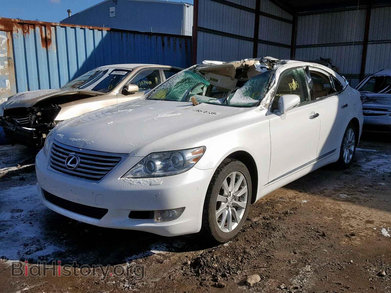 2010 LEXUS LS460 - VIN: JTHCL5EF5A5007348 - Фото 2