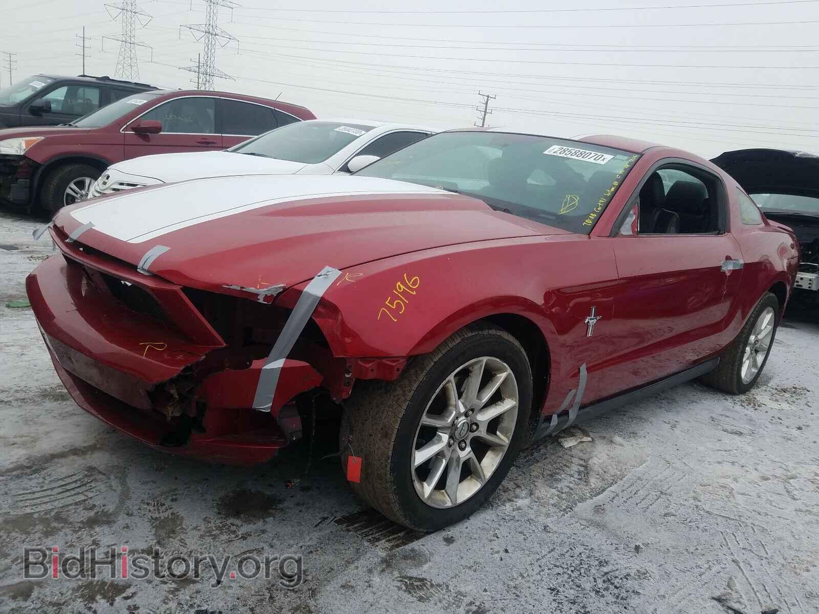 2011 FORD MUSTANG - VIN: 1ZVBP8AM1B5101653 - Фото 2