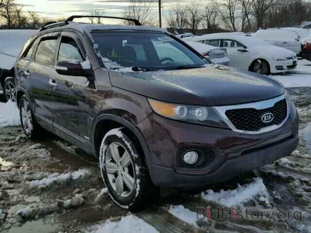 Photo 5XYKUDA27DG372133 - KIA SORENTO EX 2013