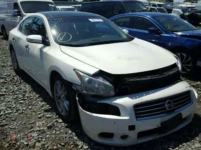 Фотография 1N4AA5AP2BC812885 - NISSAN MAXIMA 2011