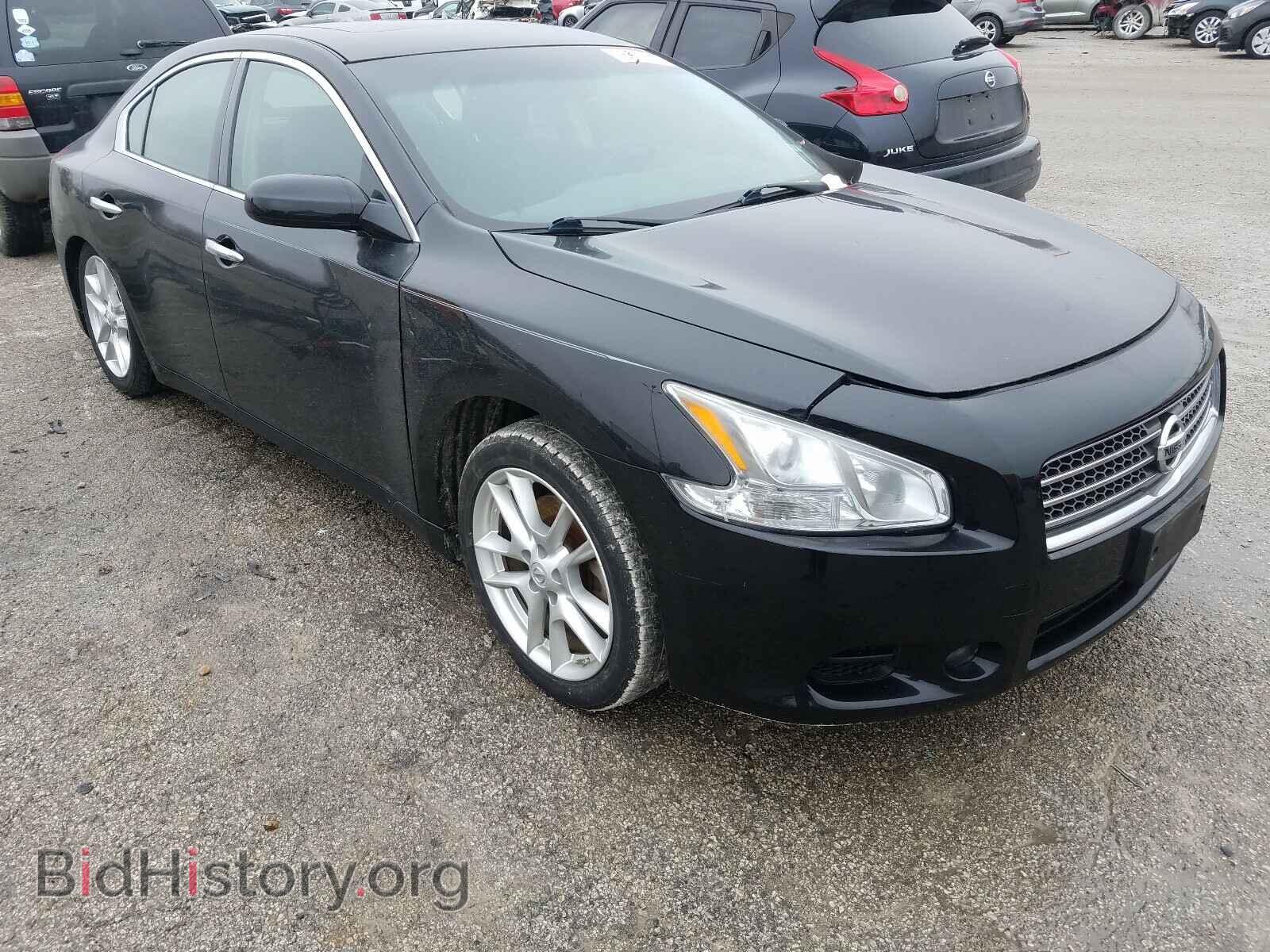 Photo 1N4AA5AP7BC868014 - NISSAN MAXIMA 2011
