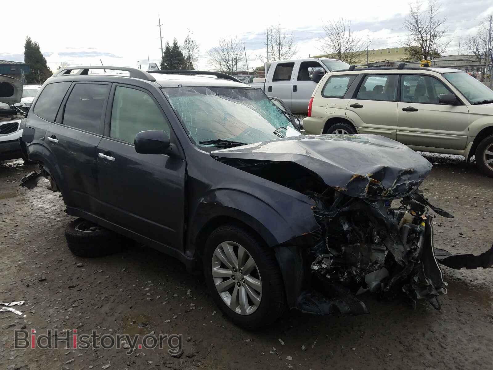 Фотография JF2SHAEC5DH407394 - SUBARU FORESTER 2013