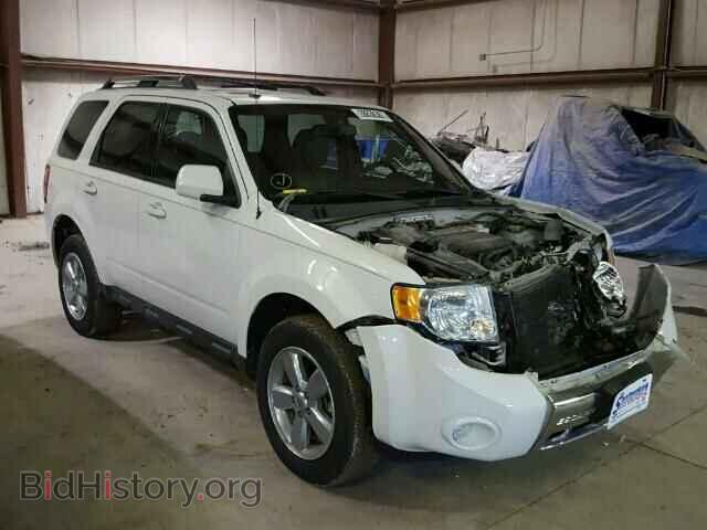 Фотография 1FMCU0EG5BKB71045 - FORD ESCAPE 2011