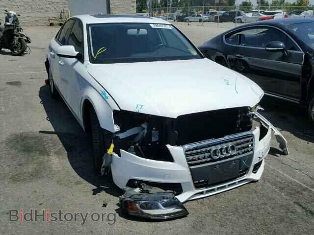Фотография WAUAFAFL8BN040341 - AUDI A4 2011