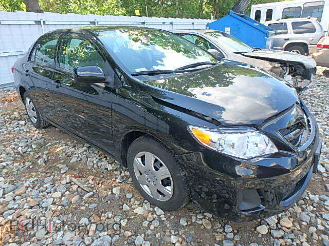 Фотография 2T1BU4EE6BC642109 - TOYOTA COROLLA 2011