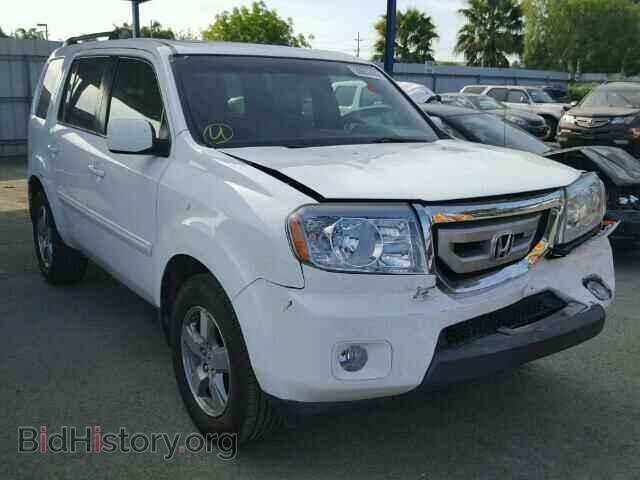 Photo 5FNYF38629B025184 - HONDA PILOT 2009