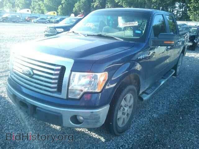 2012 FORD F150 - VIN: 1FTEW1CM1CFC22024 - Фото 2