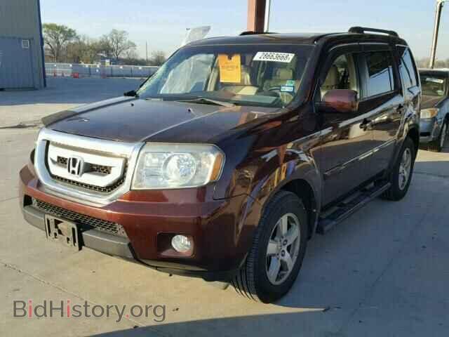 2009 HONDA PILOT - VIN: 5FNYF38599B025352 - Фото 2