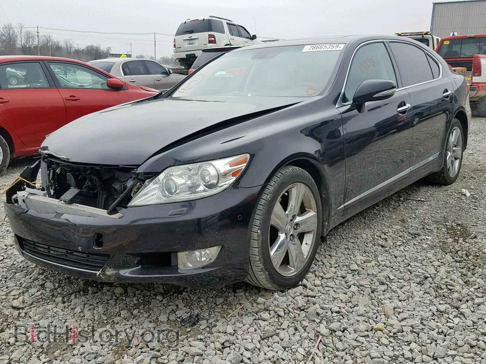 2011 LEXUS LS460 - VIN: JTHGL5EF4B5041915 - Photo 2