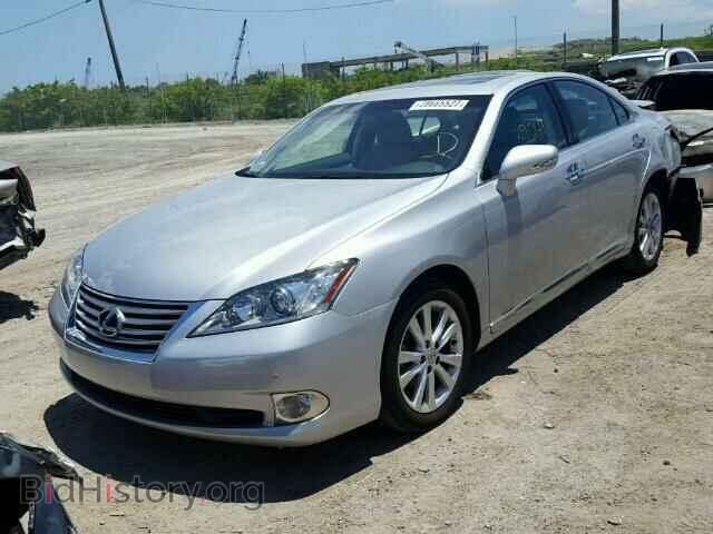 2011 LEXUS ES350 - VIN: JTHBK1EG9B2431294 - Фото 2