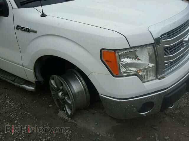 2013 FORD F150 - VIN: 1FTFX1EF0DFD01931 - Фото 9