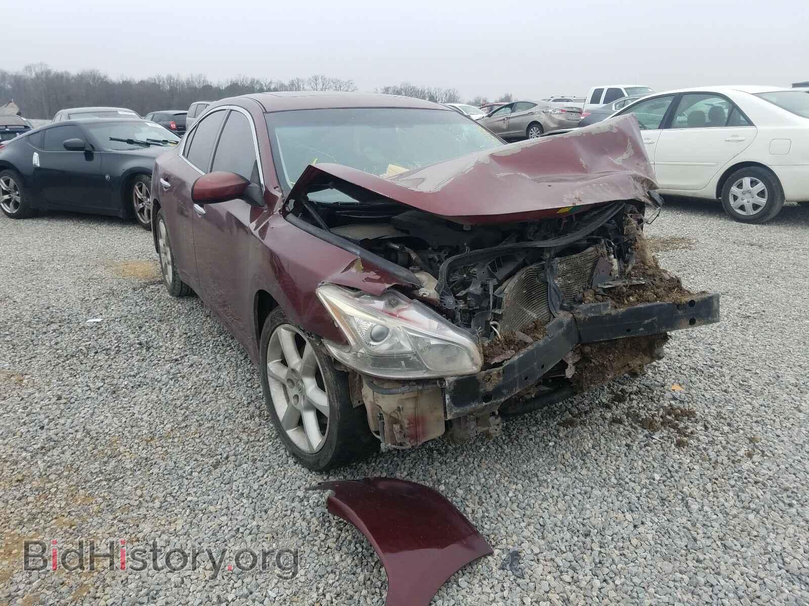 Фотография 1N4AA5AP5BC823122 - NISSAN MAXIMA 2011