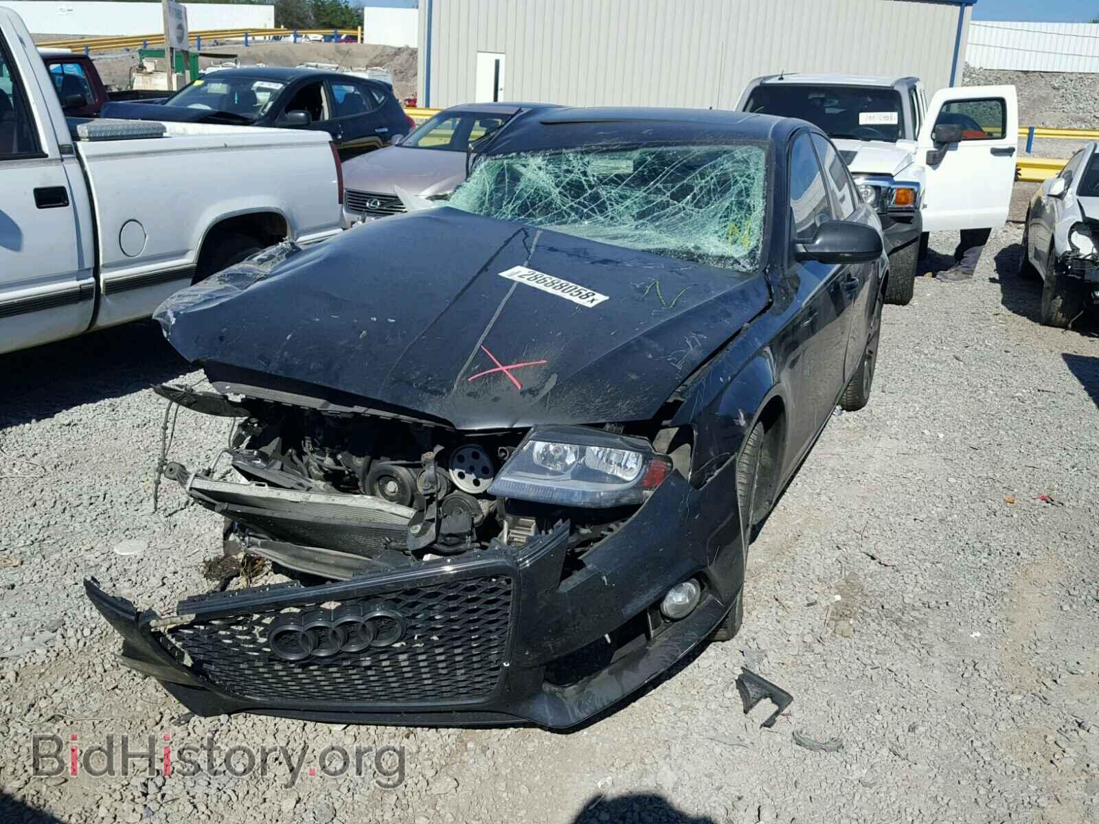 2010 AUDI A4 - VIN: WAUBFAFL7AN009830 - Фото 2