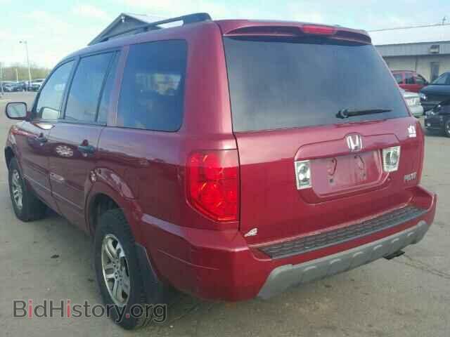 2005 HONDA PILOT - VIN: 5FNYF184X5B056759 - Фото 3