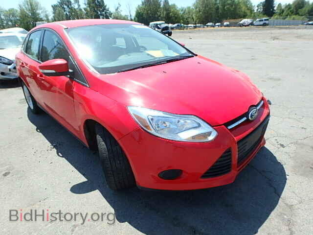 Photo 1FADP3F26DL265247 - FORD FOCUS 2013