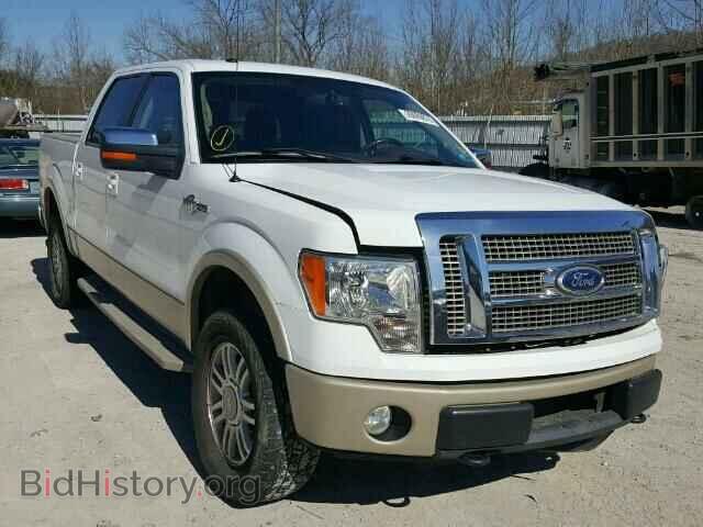 Фотография 1FTFW1EV6AKA17829 - FORD F150 2010