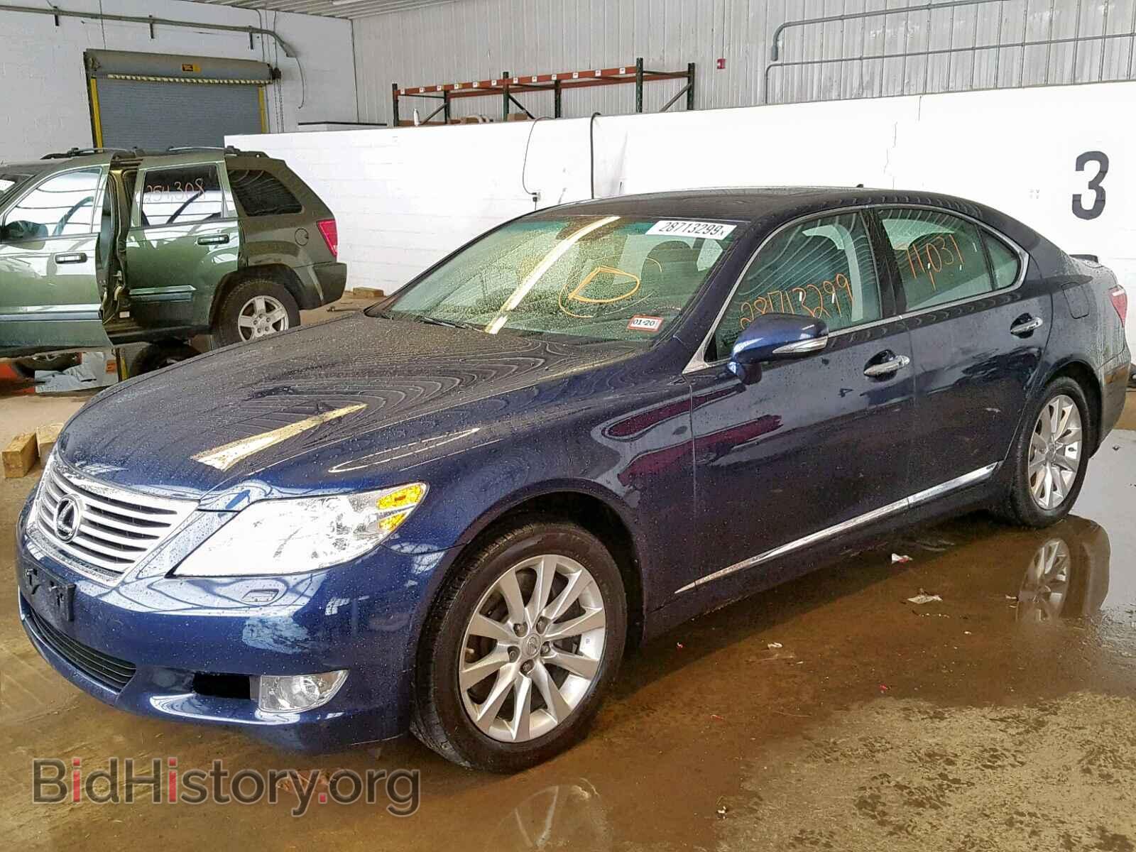 2010 LEXUS LS460 - VIN: JTHCL5EF8A5008154 - Фото 2