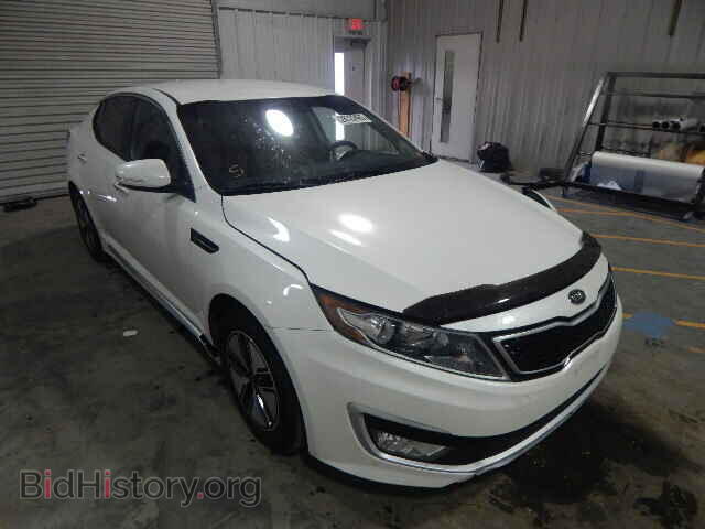 Фотография KNAGM4AD9C5012292 - KIA OPTIMA 2012
